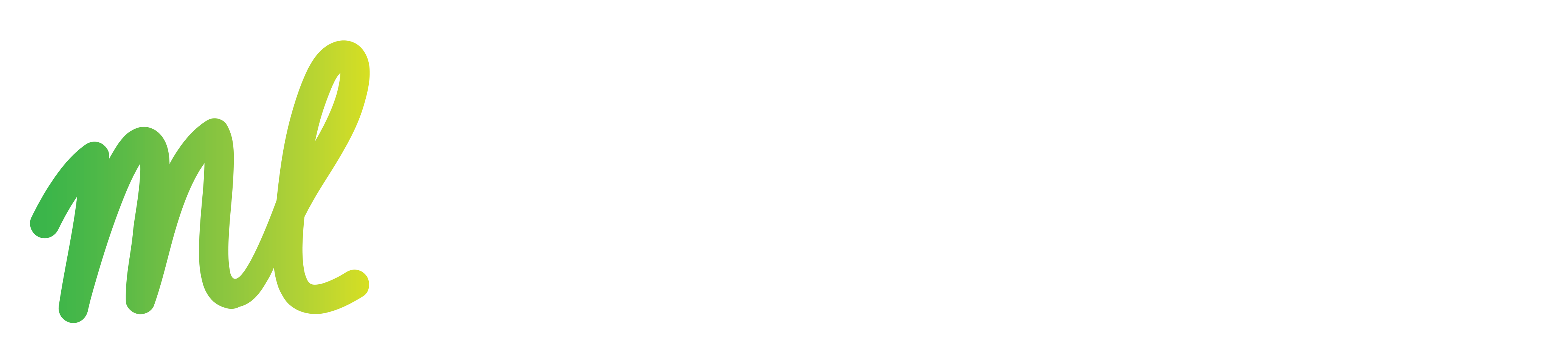 Maurice Leenders Schilderwerken